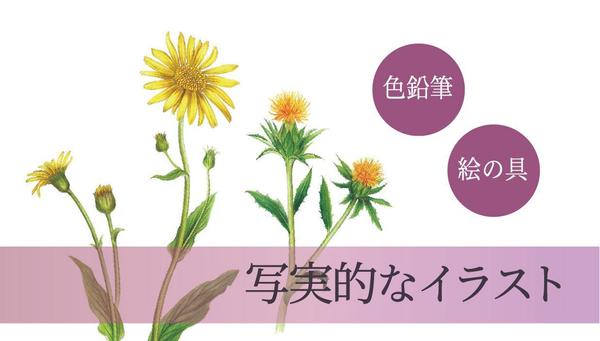リアルなのに温かみのある、華やかなイラストを作成します
