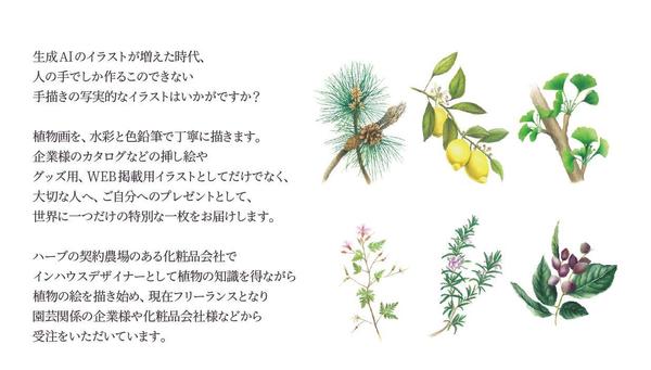 リアルなのに温かみのある、華やかなイラストを作成します