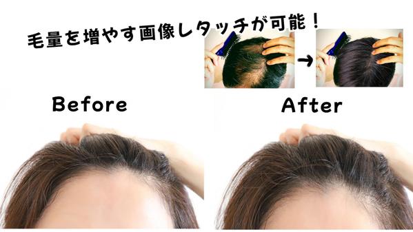 【画像編集/500円〜】髪の毛を増やすレタッチ加工・編集を承ります
