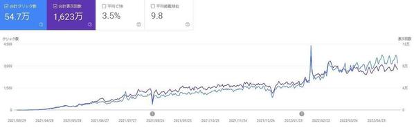 【SEO対策】サイト診断・検索上位に表示されない原因、成約に至らない原因教えます