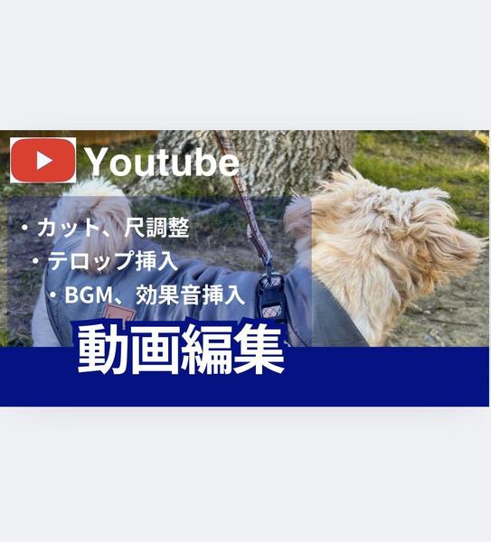 【5000円〜】YouTube等各種動画の編集をします