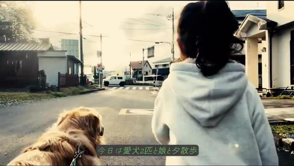素材動画を投げて頂くだけで、低単価×プロ感の動画を制作代行します