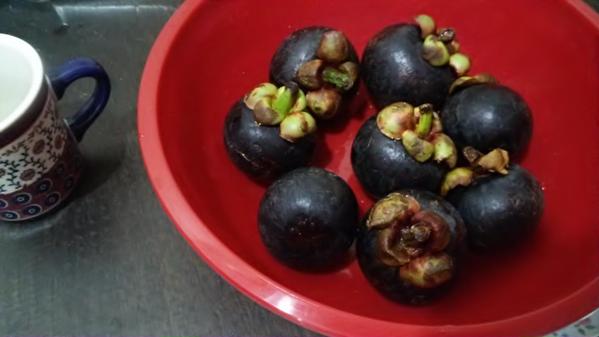 タイでの5年生活を活かして、文化、生活やタイ料理などについてライティングします