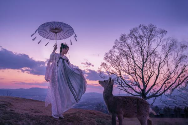 【感動を呼ぶ】写真一枚から作る、心温まるアニメーション動画を制作します
