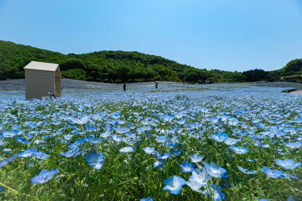 【三重の魅力発信】観光・グルメ記事を心を込めて制作します