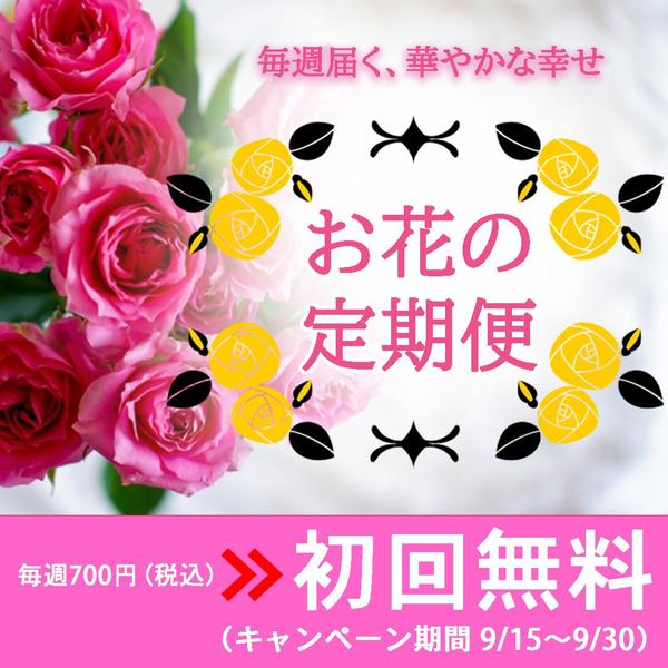 想いをカタチに。やさしく伝わるバナー・サムネイルをお届けします