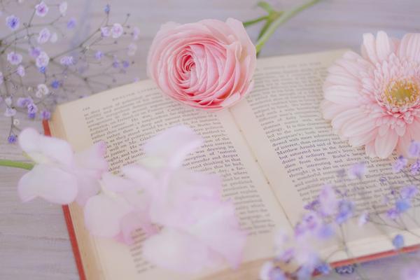 【記事作成】わかりやすく読者に伝える、軽やかで丁寧な文章を作成します