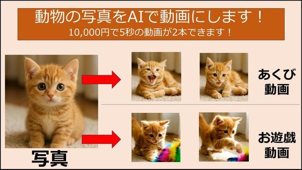 【10,000円で5秒動画が2本できます！】AIで動物の写真を動画にします
