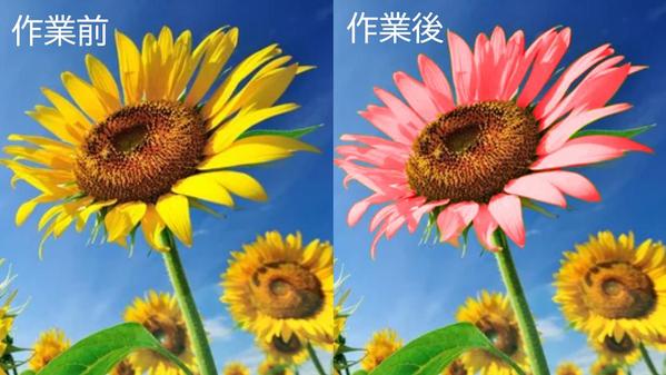 PDF、画像ファイル、イラスト関係等を編集、修正します