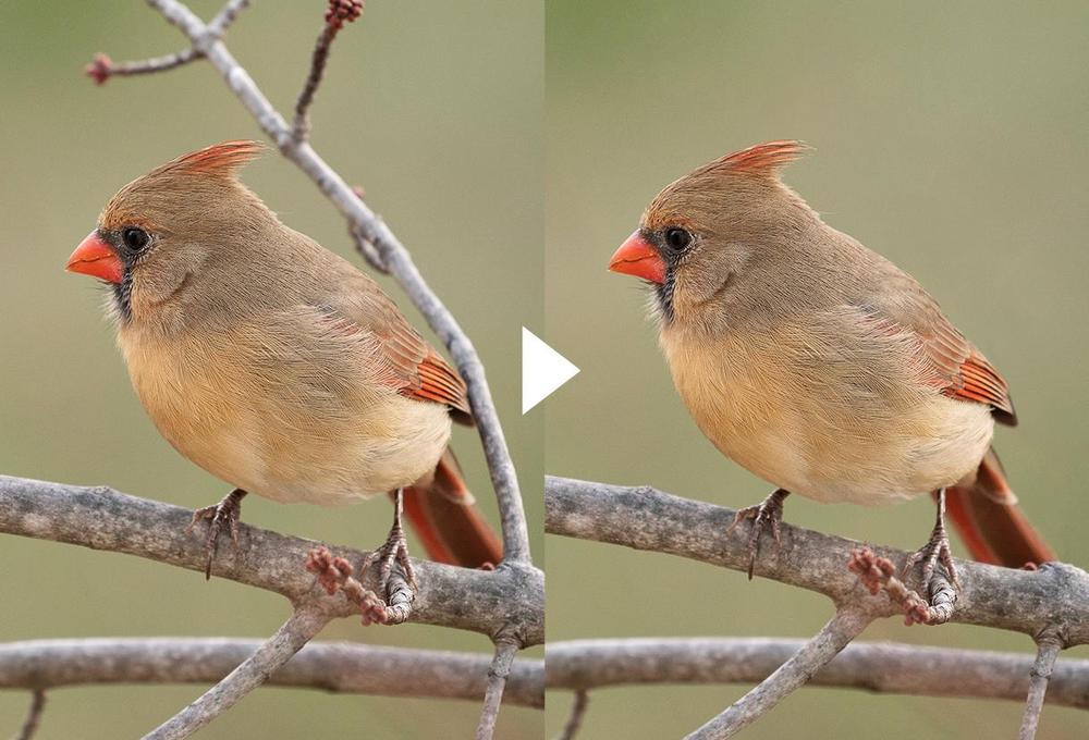 【レタッチ】写真に映り込む不要なモノを削除します