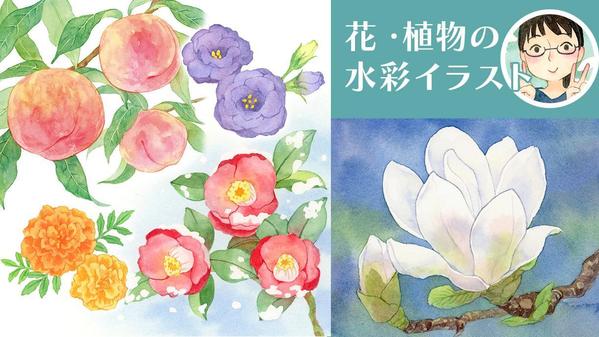 挿絵や装飾に。水彩で美しい花・植物のイラストを描きます