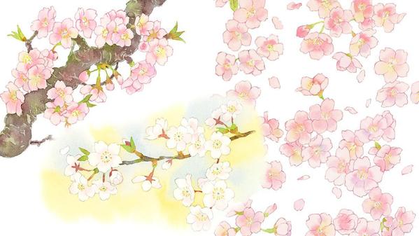 挿絵や装飾に。水彩で美しい花・植物のイラストを描きます