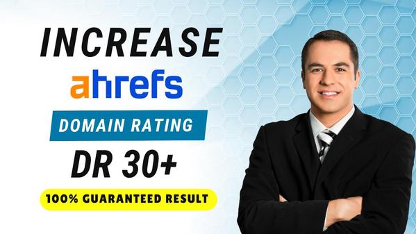 raise domain rating to "DR30 or higher."ます