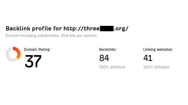 raise domain rating to "DR30 or higher."ます