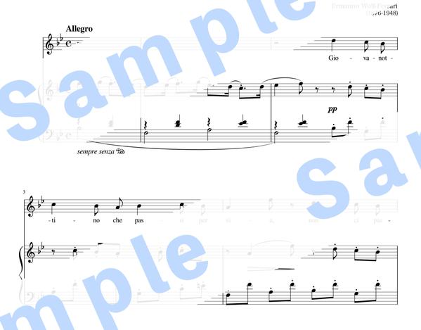 クラシック楽器編成の楽譜の作成や、手書きの楽譜を浄書いたします