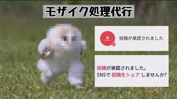 アダルト可！動画の編集で面倒なモザイク・ぼかし処理を代行します
