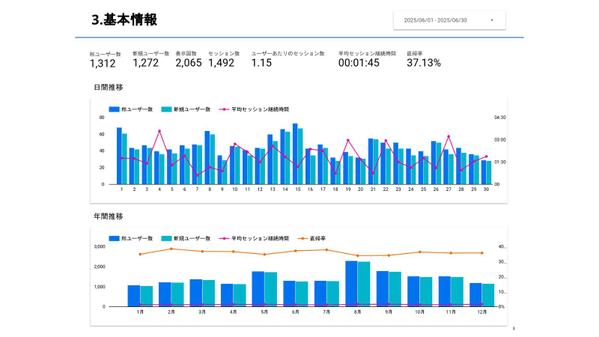 【激安高品質】あなたのWEBサイトのアクセスレポートを作成します