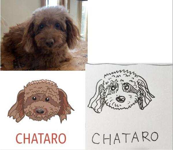 【販促業界向け】手書きイラストをWEB用画像に変換します