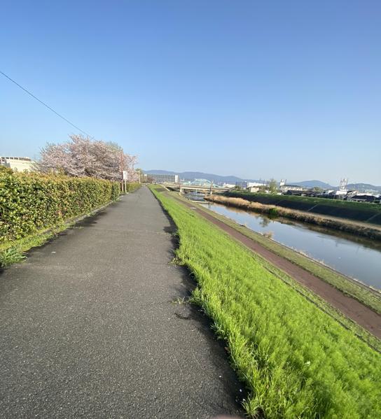 【翻訳】ビジネスから学術まで、心を込めて和訳します。ます