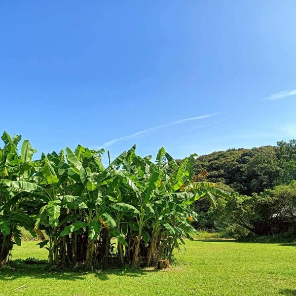 【新健康生活】新健康生活カウンセリングで生活習慣を見直します