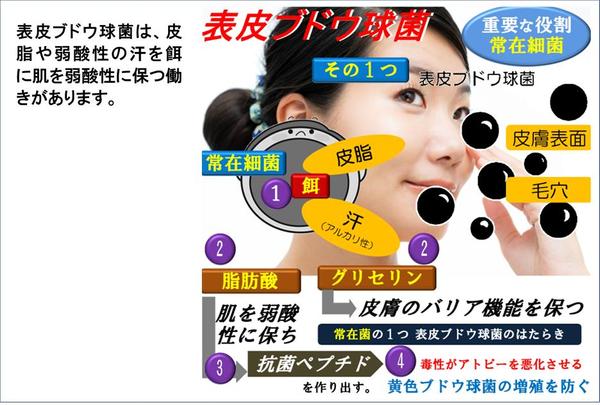 【Word納品 ロジック整理】伝わらない複雑なビジネス構造を図解で可視化・整理します