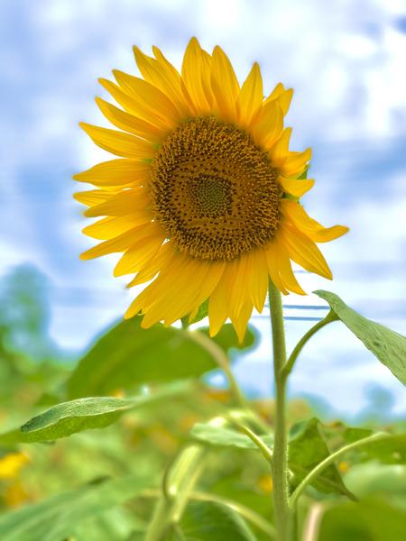 【婚活・旅行業界向け】データ入力からSNS投稿まで丁寧に対応します