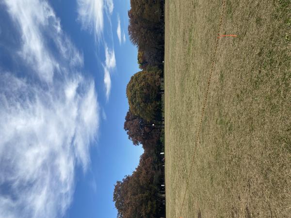 【企業向け】想いを形にする、心を動かす記事を作成します