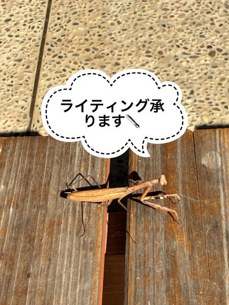 【介護や子育てなどのライティング・ブログ、記事作成を丁寧に承ります