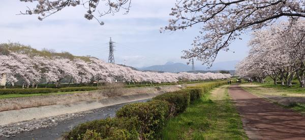 【家族の笑顔を永遠に】思い出を彩る記念写真撮影を承ります