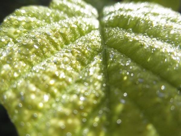 選定・審査・代行〖ネーミング・キャッチコピーの処方箋〗決める選ぶ🌸お手伝いします