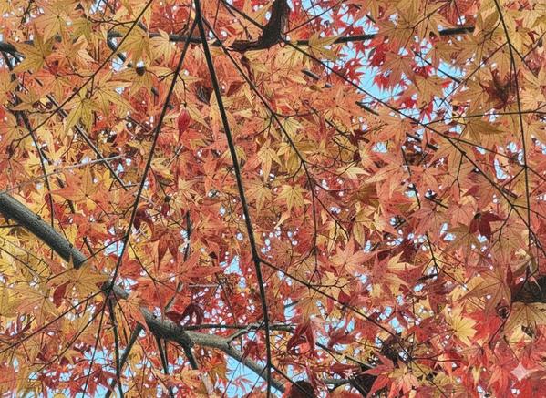 【専門知識でもわかりやすく】エビデンスに基づいた記事を作成します