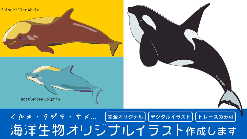 海洋生物（イルカ・クジラ・サメ・魚類など）オリジナルイラストを制作します