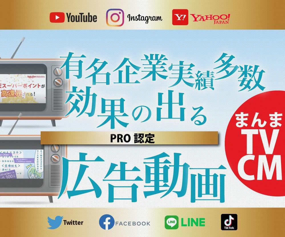 有名企業制作実績多数。TVCMみたいなインパクト大なSNS用広告動画を作ります