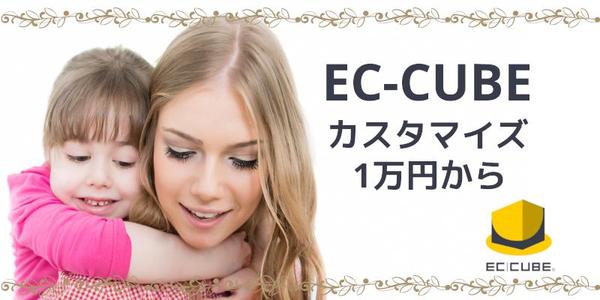 【即日可】EC-CUBE2系～4系の機能追加・エラー解消をいたします