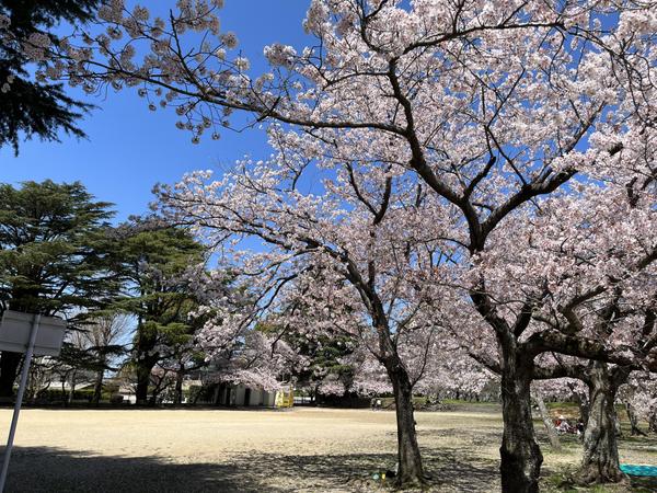 高齢者福祉・高齢者介護全般に関するコラム記事・体験談を提供します