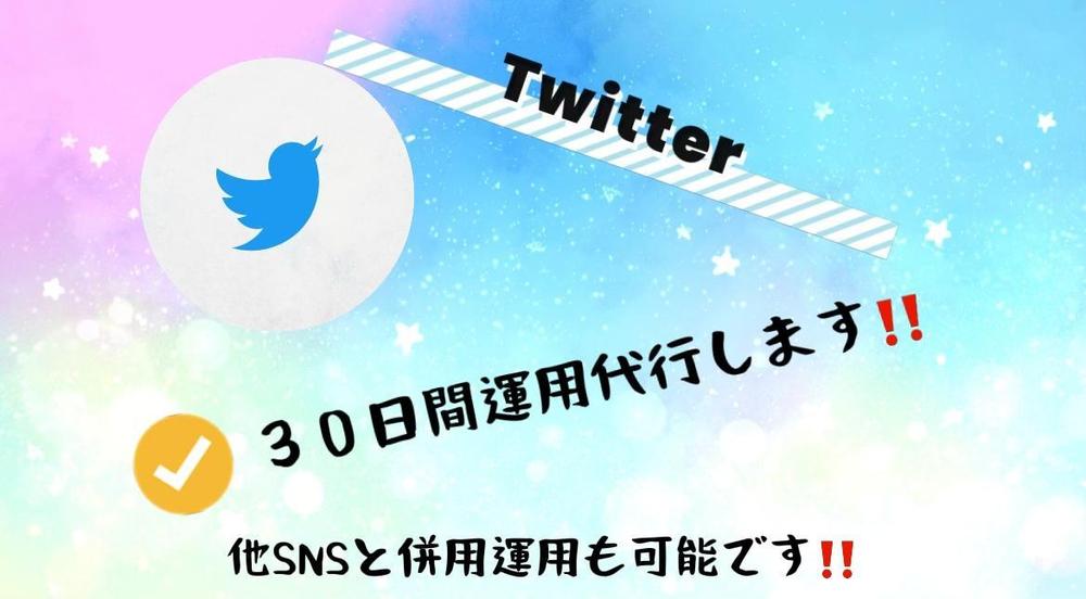 ３０日間◆ゼロからでも可能です。Twitter運用代行します