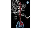 arc design (kanmai)さんの健保組合の加入者に禁煙を呼びかけるポスターへの提案