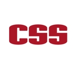 DD (TITICACACO)さんのIT企業「CSS」より、新たな企業イメージとしての会社ロゴをオーダーへの提案