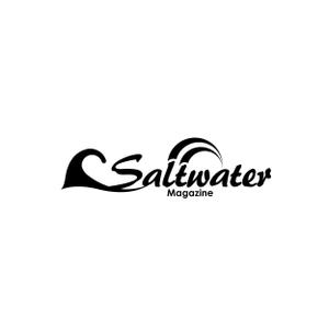 TAD (Sorakichi)さんのウェブマガジン「Saltwater Magazine」のロゴ制作への提案