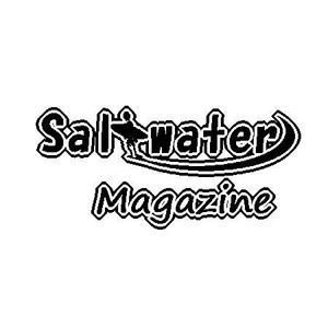 kokonoka (kokonoka99)さんのウェブマガジン「Saltwater Magazine」のロゴ制作への提案