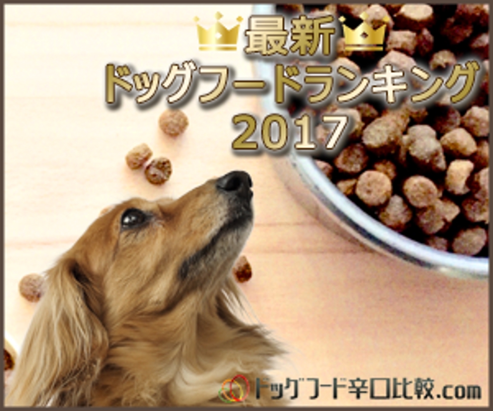 dogfood_1.png