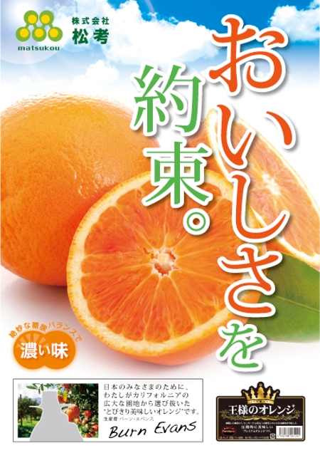 manon (manon445)さんのおいしさを約束するオレンジのポスターデザインの依頼への提案