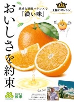 sugiaki (sugiaki)さんのおいしさを約束するオレンジのポスターデザインの依頼への提案