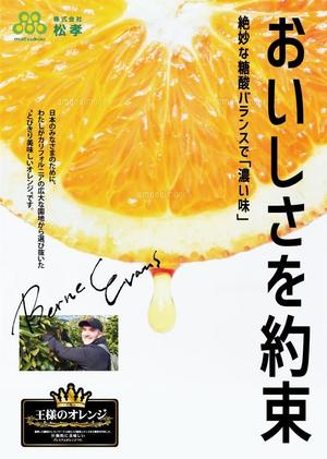 marukei (marukei)さんのおいしさを約束するオレンジのポスターデザインの依頼への提案
