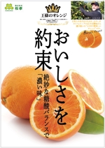 longyilangl (longyilangl)さんのおいしさを約束するオレンジのポスターデザインの依頼への提案