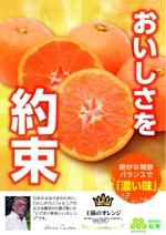 yama (yama_830)さんのおいしさを約束するオレンジのポスターデザインの依頼への提案