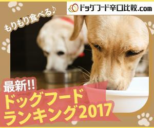 Yamaguchi（デザインお請けします） (simonworks)さんの【急募】ドッグフードランキングサイトの広告用バナー作成への提案