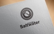 saltwater c02.jpg