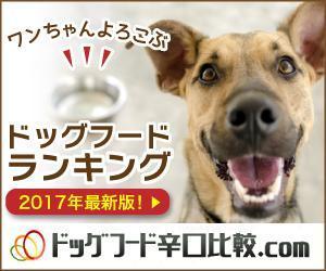 宮里ミケ (miyamiyasato)さんの【急募】ドッグフードランキングサイトの広告用バナー作成への提案