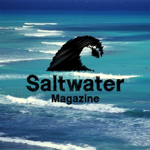 vimgraphics (vimgraphics)さんのウェブマガジン「Saltwater Magazine」のロゴ制作への提案